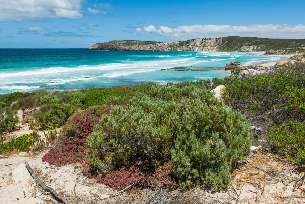 South Australia beach