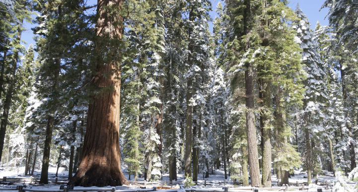 General’s Highway, California