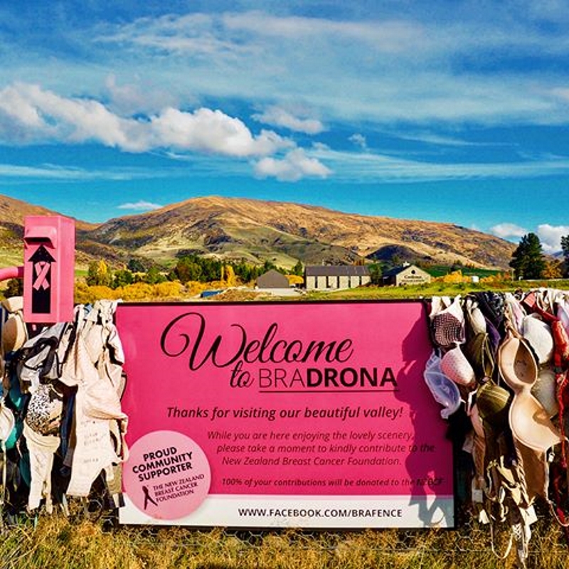 cardrona bra fence(卡德罗纳胸罩围栏)是个有点让人一言难尽的地方.