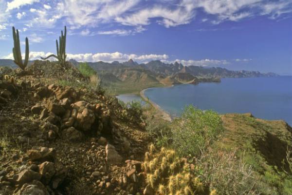 loreto-landscape