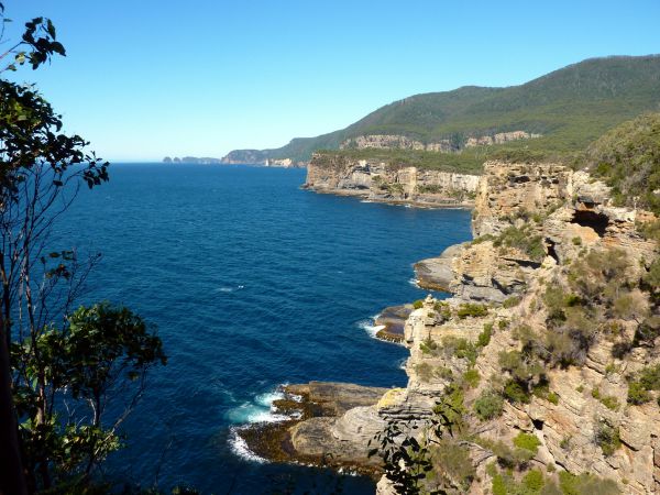 Tasmanie