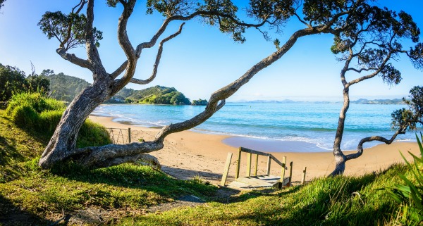 new zealand, motorhome holiday, tutukaka