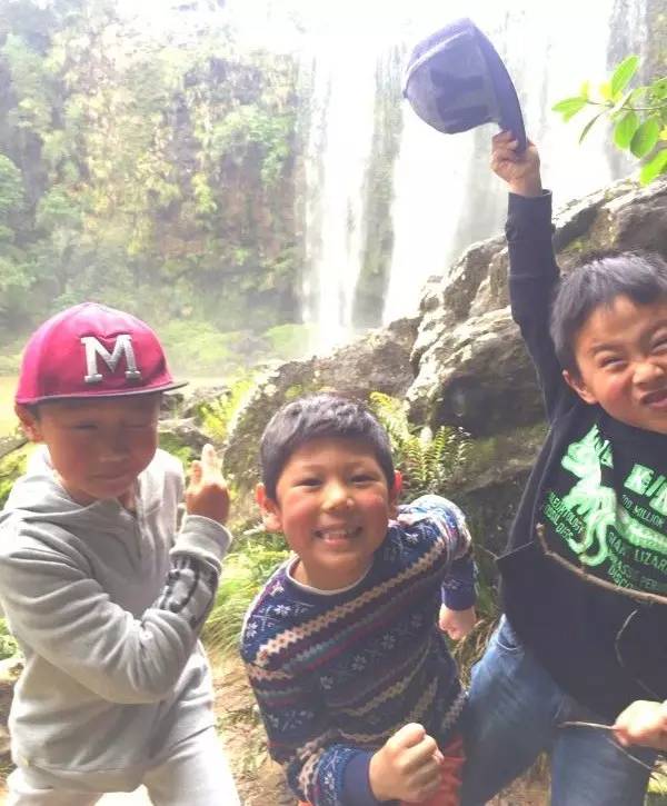 Whangarei瀑布徒步散步