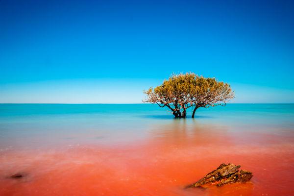 Broome’s unforgettable coastline attracts myriad visitors every year.