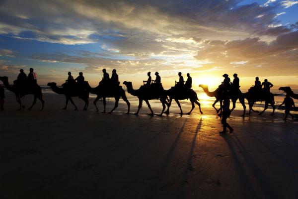Taking a camel ride along Cable Beach is a well known visitor&rsquo;s rite of passage in Broome.