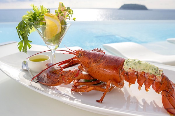 澳大利亚小龙虾