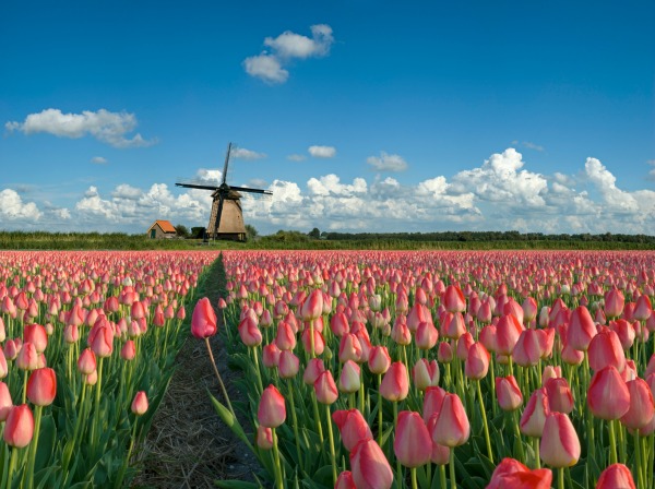 netherlands, motorhome rental, road trip