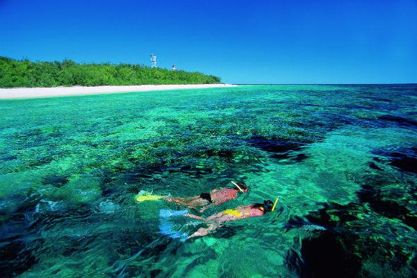 If you’ve never experienced the grandeur and beauty of the Great Barrier Reef, taking the time to do so during your time in Townsville is essential.