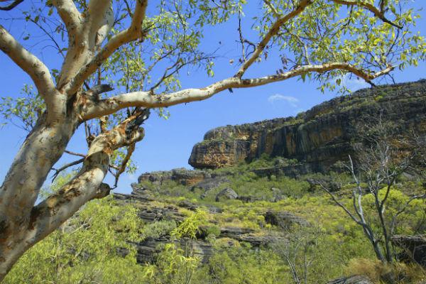 It’s a bit of a drive from Townsville to Kakadu National Park, but it’s a journey that’s entirely worth it.