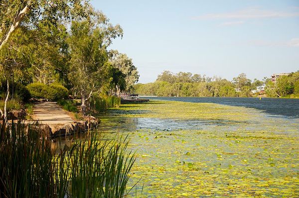 The Ross River that runs through Townsville - By Leonhard Fortier - Own work, CC BY-SA 4.0