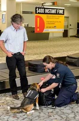 新西兰海关狗狗