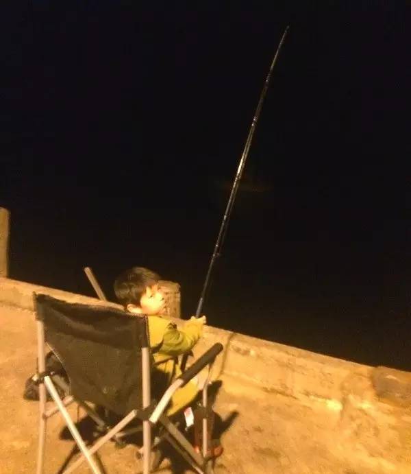 新西兰北岛自驾-在营地附近的码头钓鱼