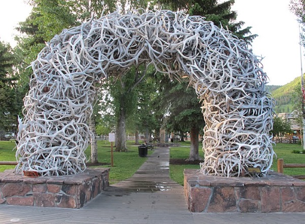 杰克逊小镇的鹿角公园